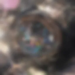 A showcase of vibrant multicolor prints displaying various techniques.