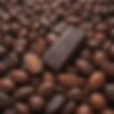 Close-up of dark chocolate with cacao beans