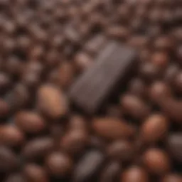 Close-up of dark chocolate with cacao beans
