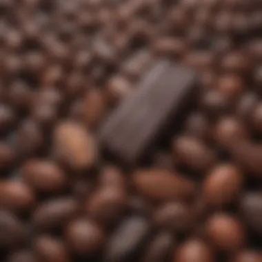 Close-up of dark chocolate with cacao beans