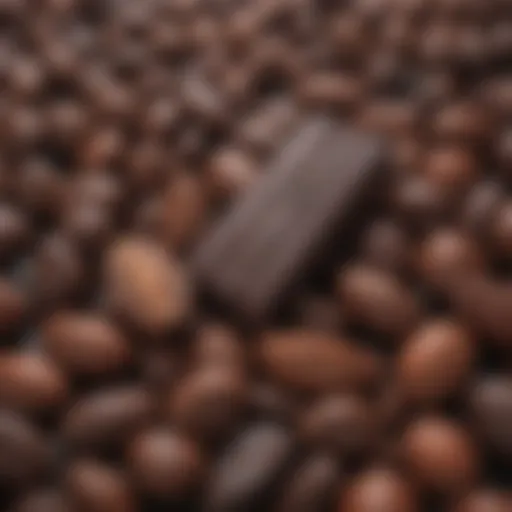 Close-up of dark chocolate with cacao beans