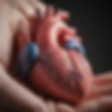 Congenital Heart Defects in Newborns Diagram illustrating congenital heart defects in neonates