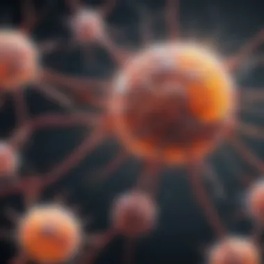 Immune System and CNS Interaction Illustration depicting the interaction between the immune system and the central nervous system in neuroinflammation.