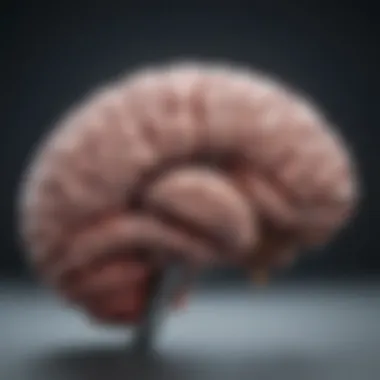 Brain Response Mechanism to Neurostimulation Diagram showing the brain's response to neurostimulation