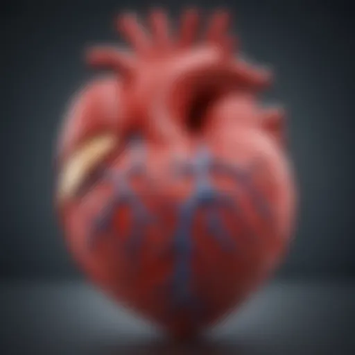 Illustration of heart anatomy affected by obesity
