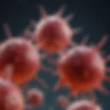 Representation of Ocrevus molecule interaction with immune cells