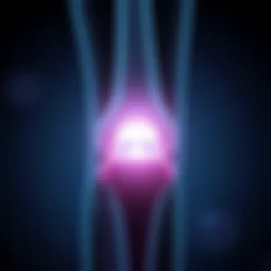 Treatment Options for Osteophytes Visual representation of treatment options for osteophytes
