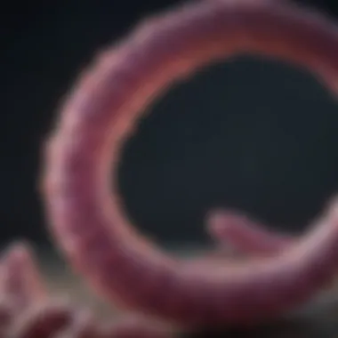 Genetic Insights into Pancreatic Cancer Genetic analysis in pancreatic cancer research