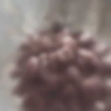 Histological Features of Papillary Thyroid Cancer Histological comparison of papillary thyroid cancer