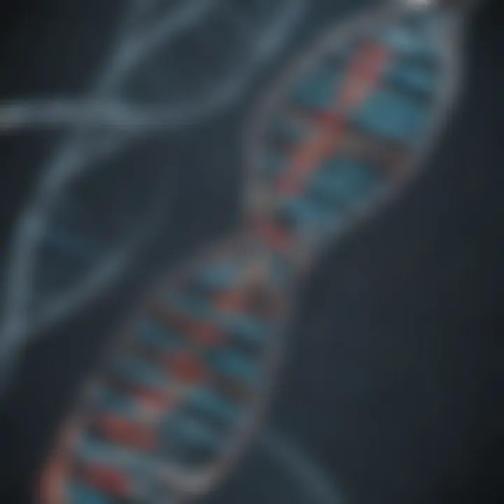 Diagram illustrating the DNA isolation from biological samples