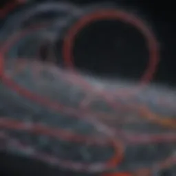 Diagram illustrating cortisol production pathways