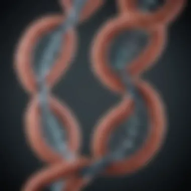 Molecular Structure of the Philadelphia Chromosome Representation of the Philadelphia chromosome structure