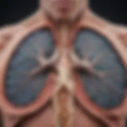 Radiological view of lung nodules