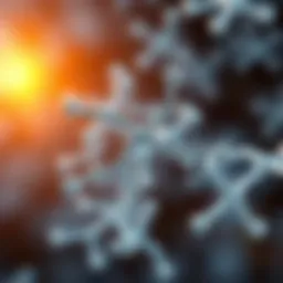 Visual representation of oligonucleotide structures