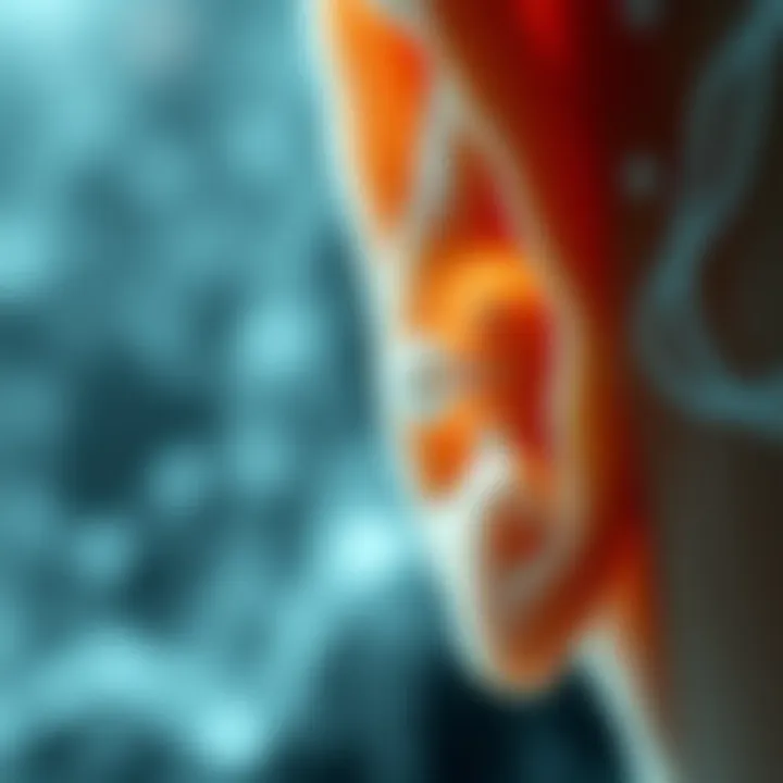 Ethical Considerations in Audiology Research Visual representation of ethical considerations in research