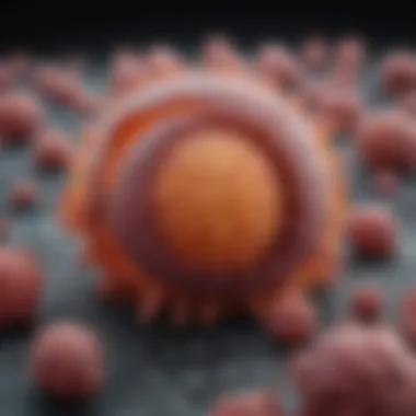 Detailed view of colon cancer cell structure Colon cancer cell structure