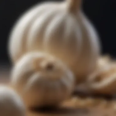 Potential Risks of Garlic in Low Blood Pressure Management A visual representation of the risks related to excessive garlic consumption