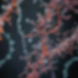 Visualization of RNA molecules under a microscope