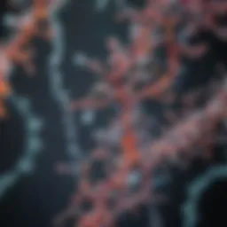 Visualization of RNA molecules under a microscope