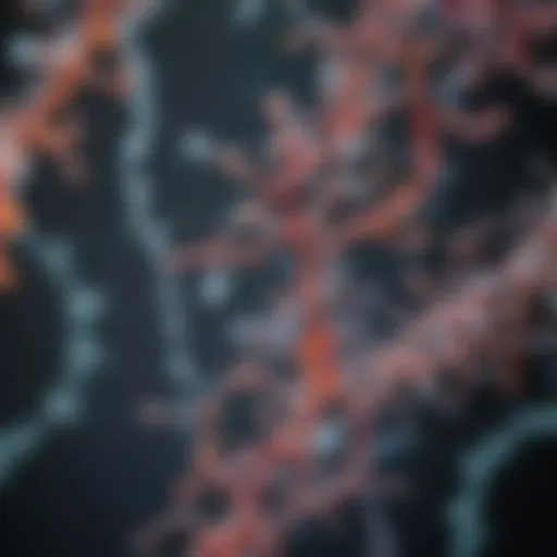 Visualization of RNA molecules under a microscope