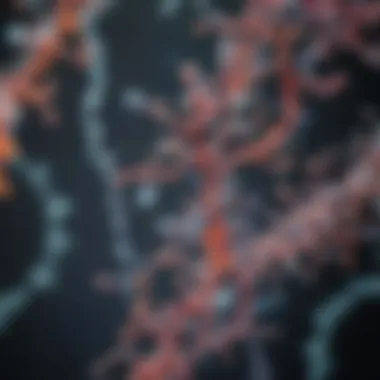 RNA Visualization Visualization of RNA molecules under a microscope
