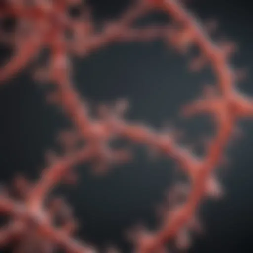 Visualization of RNA molecule structure