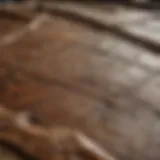Detailed view of the Shroud of Turin showcasing its intricate textures.