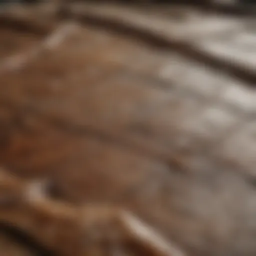 Detailed view of the Shroud of Turin showcasing its intricate textures.