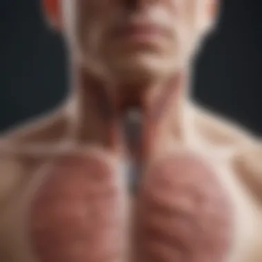 Impact of Severe COPD on the Respiratory System A diagram illustrating the respiratory system affected by severe COPD.
