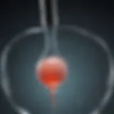 Advanced sperm extraction technique