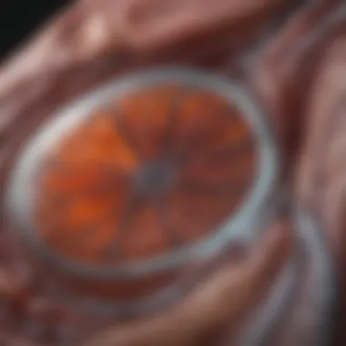 Imaging Technique for Kidney Evaluation Imaging technique for kidney evaluation
