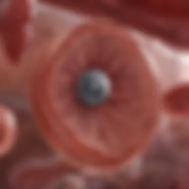 Indicators of Kidney Health and Wellness Indicators of kidney health and wellness