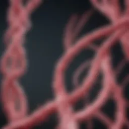 The BRCA2 Gene and Its Link to Breast Cancer Introduction