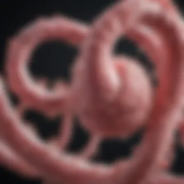 The BRCA2 Gene and Its Link to Breast Cancer Summary