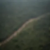 Aerial view of the Amazon Rainforest showing deforestation