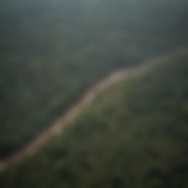 Aerial view of the Amazon Rainforest showing deforestation