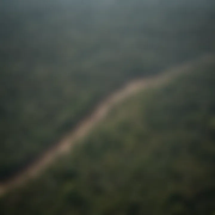 Aerial view of the Amazon Rainforest showing deforestation