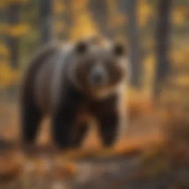 Grizzly Bear in Autumn A grizzly bear in a natural habitat during fall, preparing for hibernation.