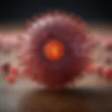 Representation of the HIV virus