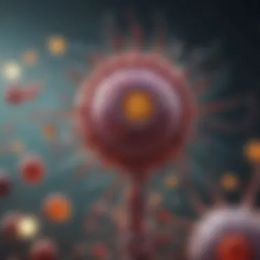 A detailed illustration of the immune response triggered by vaccination