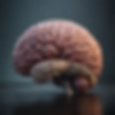 Diagnostic Methods for Brain Metastases Chart depicting diagnostic methods for identifying brain metastases