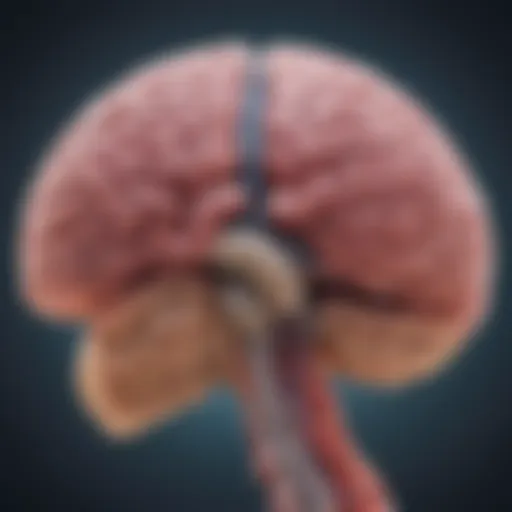 Illustration showing the pathway of lung cancer metastasis to the brain