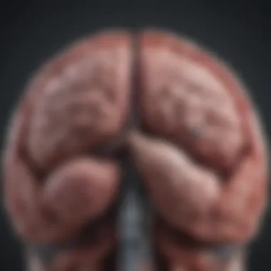 Treatment Options for Lung Cancer with Brain Metastasis Visual representation of treatment options for lung cancer with brain metastasis