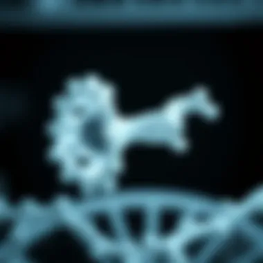 Ribosome Mechanics in Translation Diagram of ribosome function during translation