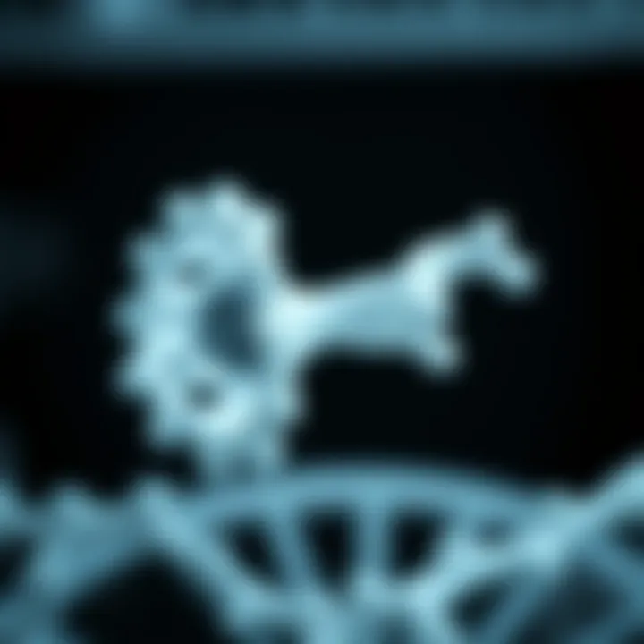 Ribosome Mechanics in Translation Diagram of ribosome function during translation