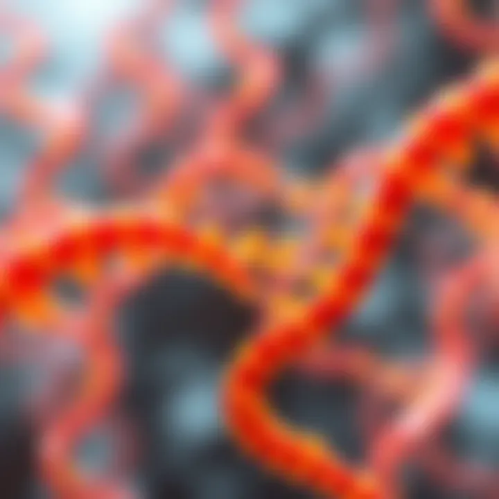 Stages of mRNA Translation Unveiled Flowchart depicting translation stages: initiation, elongation, termination