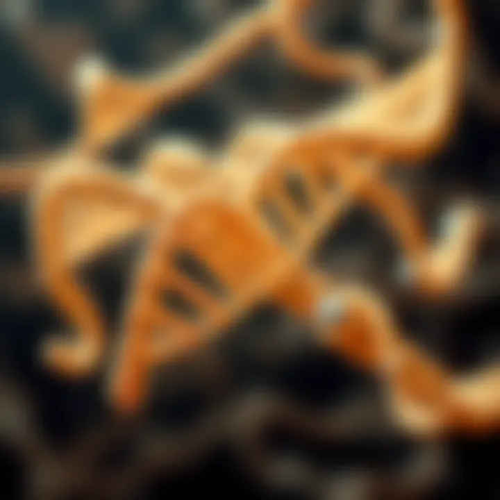 The Role of tRNA in Protein Synthesis Visualization of tRNA carrying amino acids