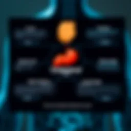 Diagram illustrating the types of cholesterol and their functions in the body