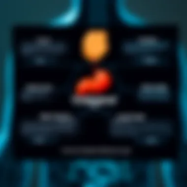 Understanding Cholesterol Types Diagram illustrating the types of cholesterol and their functions in the body