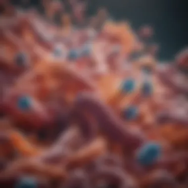 The Diversity of Bowel Bacteria and Its Importance Diverse gut microbiome illustration highlighting various bacteria